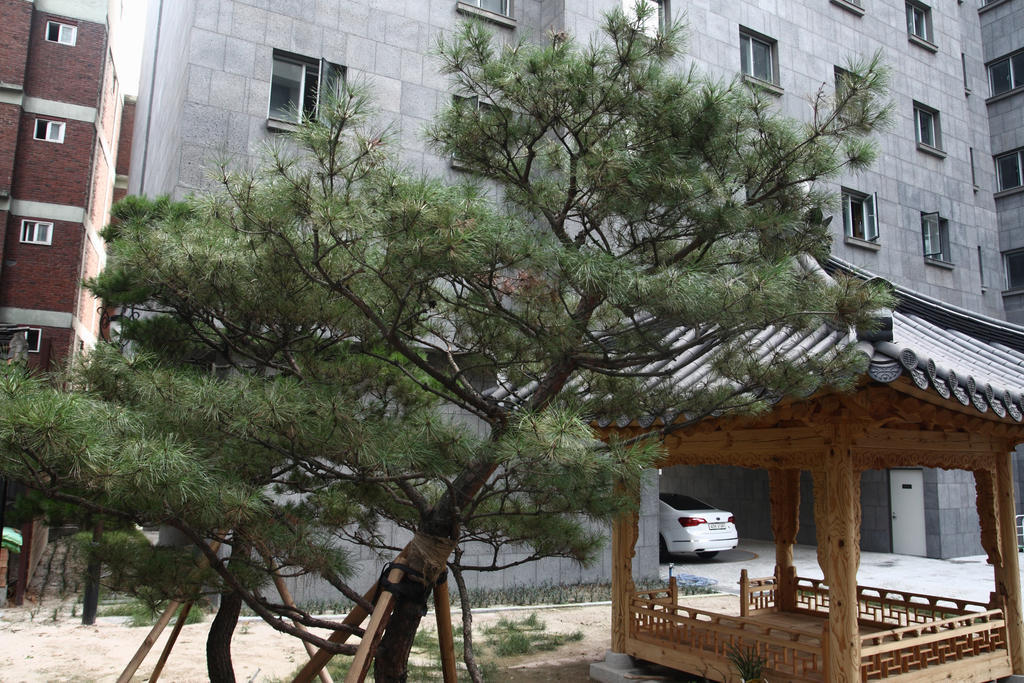 Fortune Hostel Jongno Seul Exterior foto